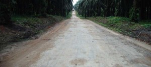 Treated Plantation Road